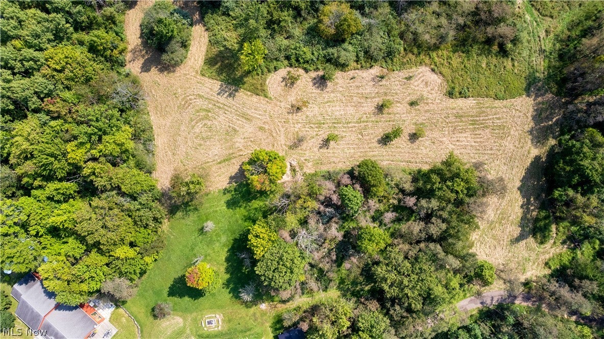 206 Deepwoods Lane
