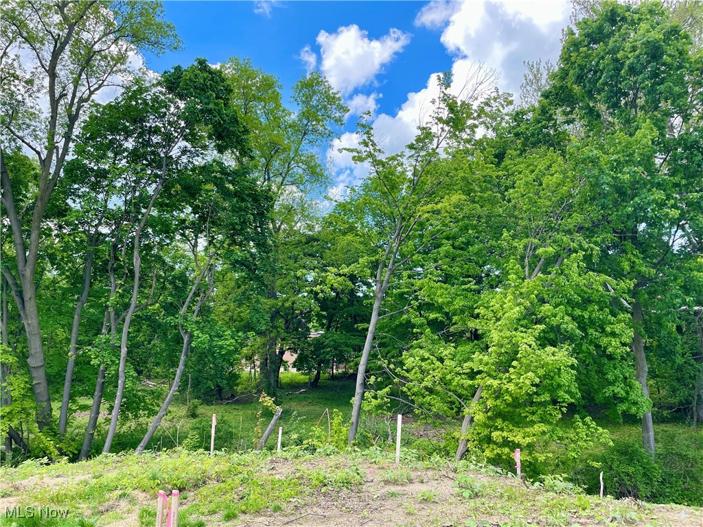9025 Jackson Street, Mentor, Ohio image 7