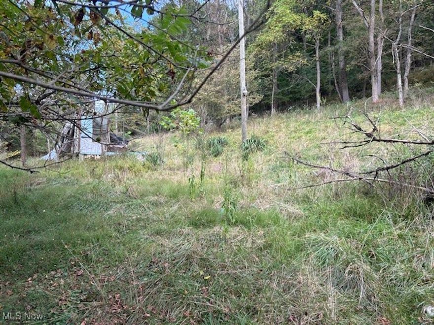 Opportunity awaits on this peaceful 1-acre parcel at 1990 Meathouse Fork Road in Ravenswood, WV. The property has a mix of cleared and wooded areas, offering privacy with natural scenery. It previously had access to oil, electric, well, and septic, though their current condition is unknown. A home remains on the site and will need to be removed—leaving you with a blank canvas to bring your ideas to life. Whether you envision building a new home, setting up a country retreat, or enjoying a quiet getaway, this Jackson Count, West Virginia property provides space and seclusion to make it happen.