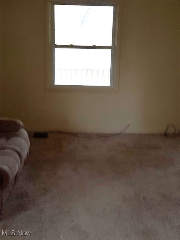 4404 N Lake Road, West Farmington, Ohio image 10