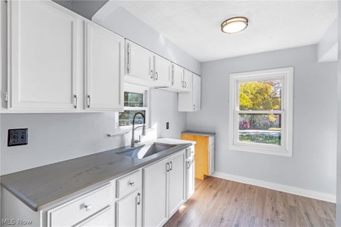 Tiny photo for 12204 Wayland Avenue, Cleveland, OH 44111 (MLS # 5254689)