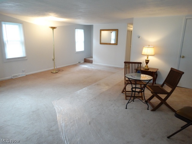 Mentor Manor - Residential