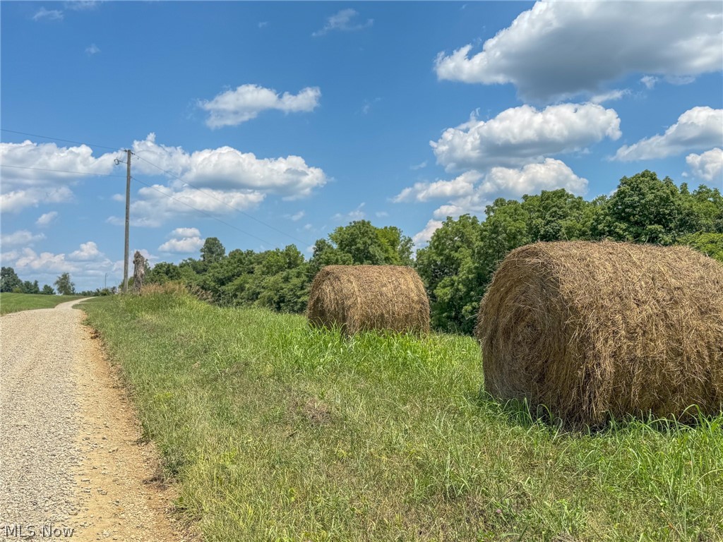 Van Fossen Lane, Chesterhill, Ohio image 4