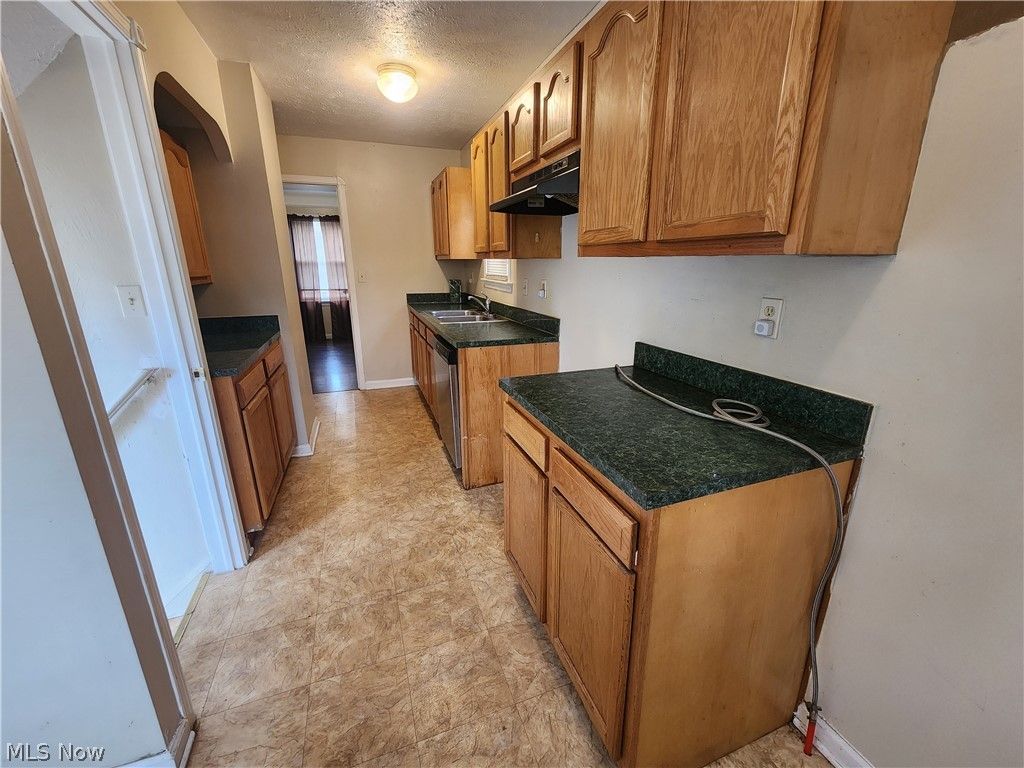 Photo of 1517 Larchmont Road, Cleveland, OH 44110 (MLS # 5197418)