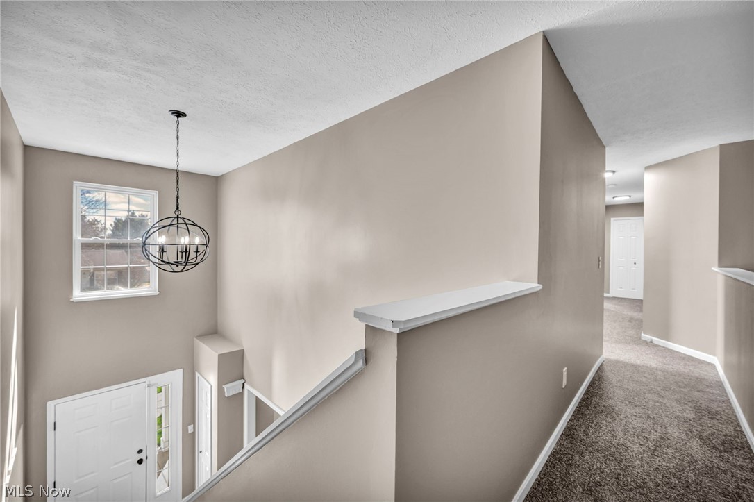 Snyderside Allotment - Residential