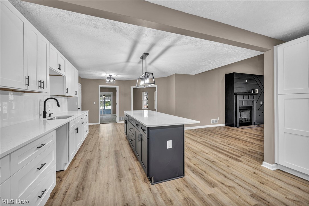 Snyderside Allotment - Residential