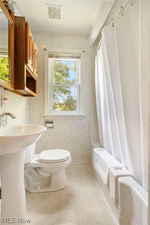 Filipowicz Allotment - Residential