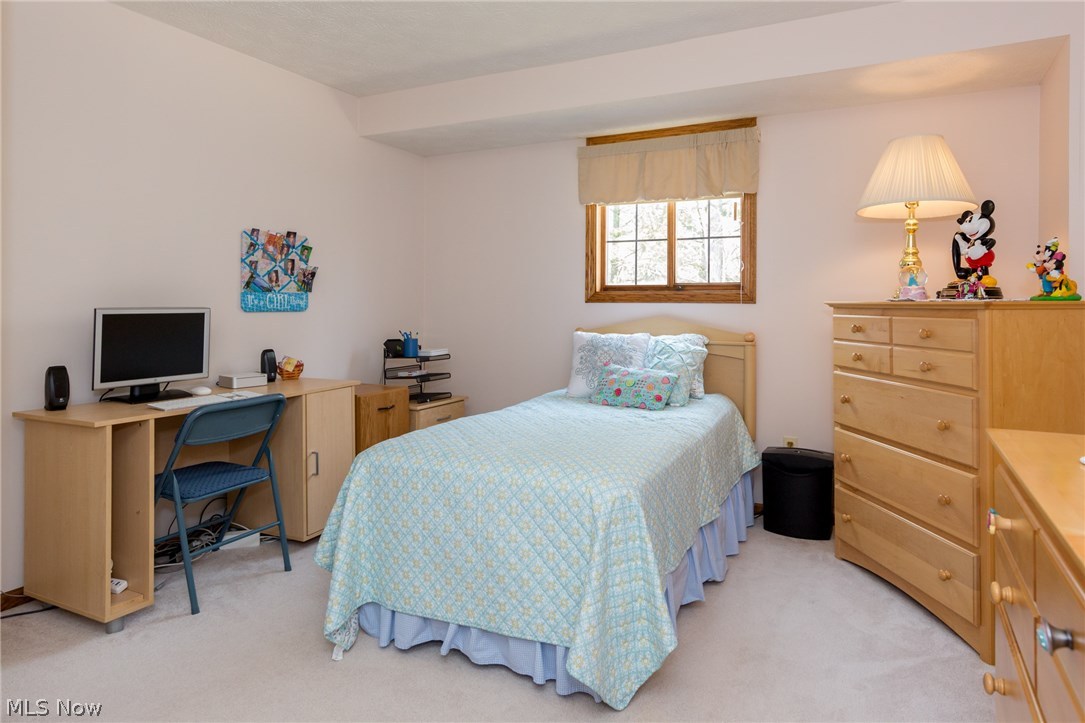 Lake In The Woods - Residential