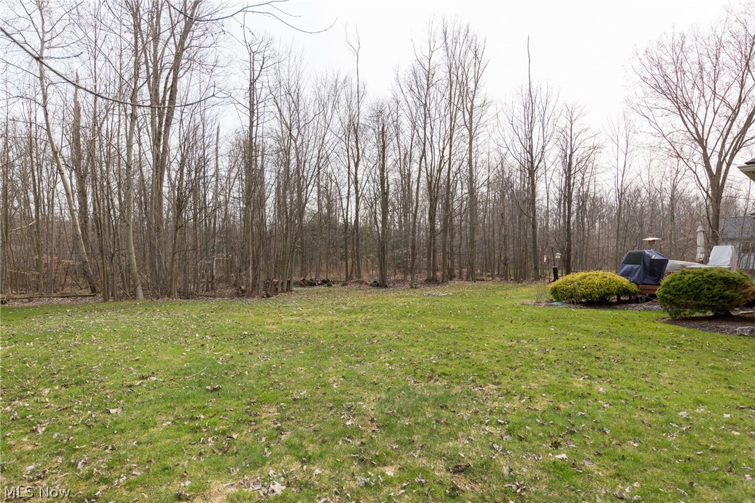 Lake In The Woods - Residential