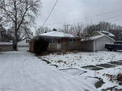 Tiny photo for 532 Lamont Street, Akron, OH 44305 (MLS # 5179211)
