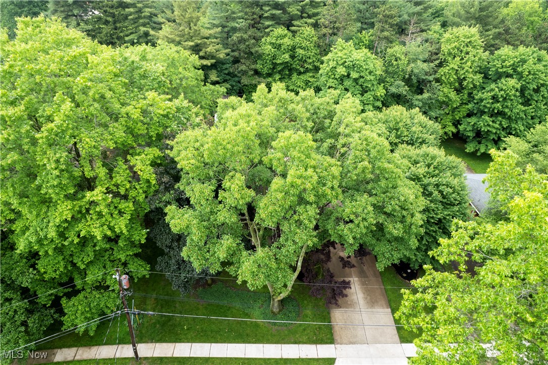 2553 Armstrong Drive, Wooster, Ohio image 32