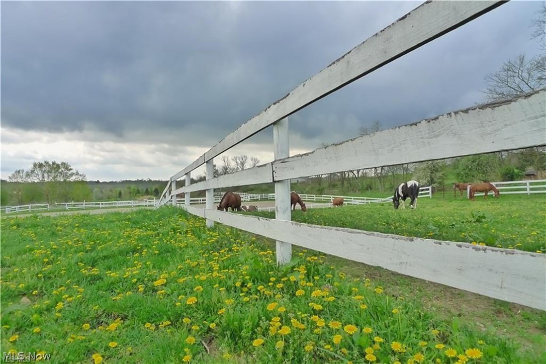 Auburn - Residential