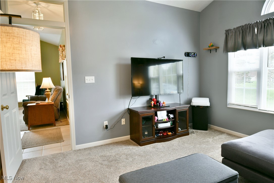 218 Wilcox Road, Austintown, Ohio image 19