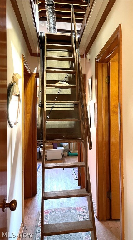 Village/Minerva - Residential