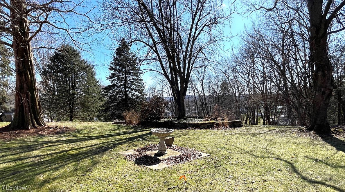 Village/Minerva - Residential