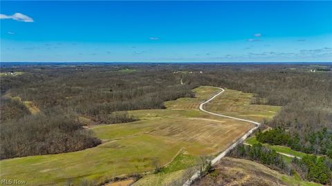 Vacant Land For Sale - Stoneburner Road<br/> Morgan County, Crooksville, OH 43731