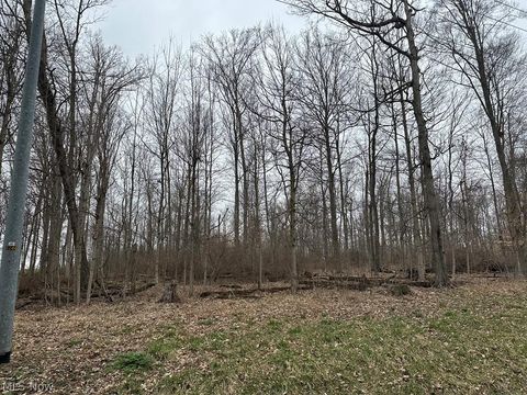Vacant Land For Sale - 00 Grant Road<br/> Howard, OH 44903
