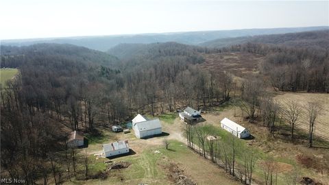 Vacant Land For Sale - 5696 Township Road 289<br/> Jefferson County, Hammondsville, OH 43945