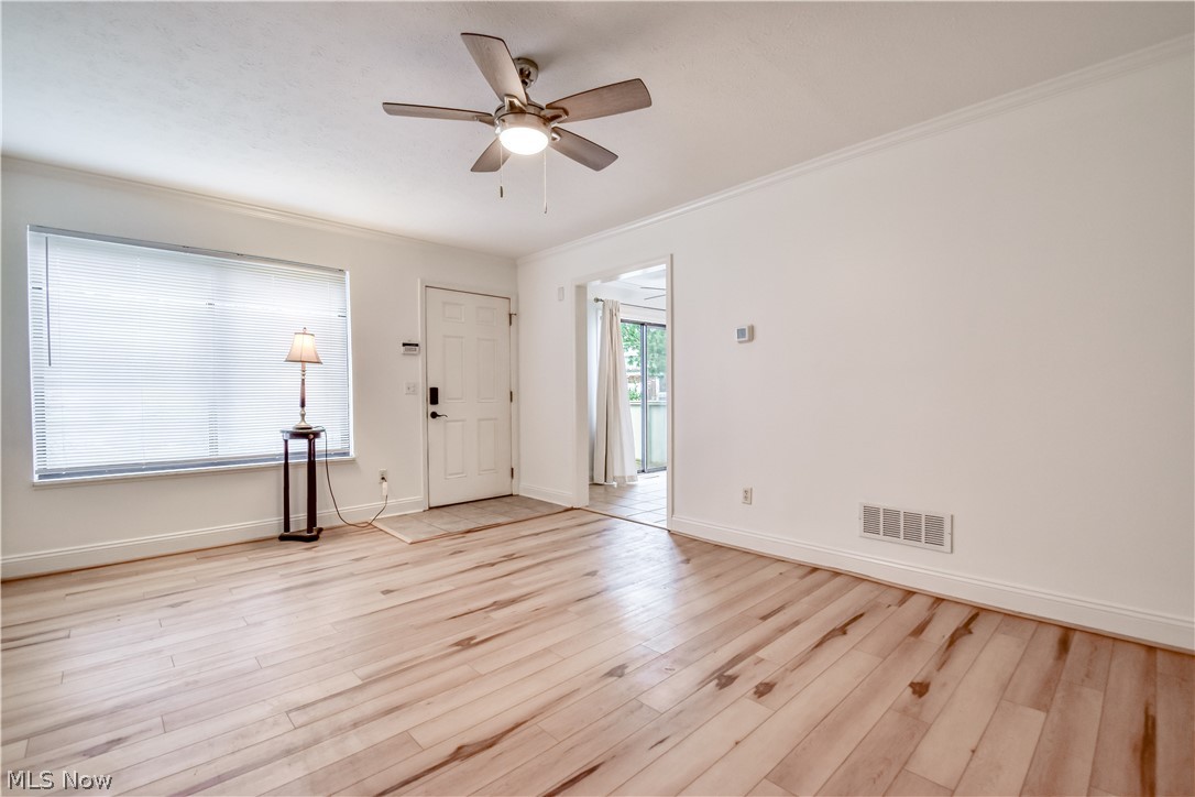 Big Turtle II - Residential