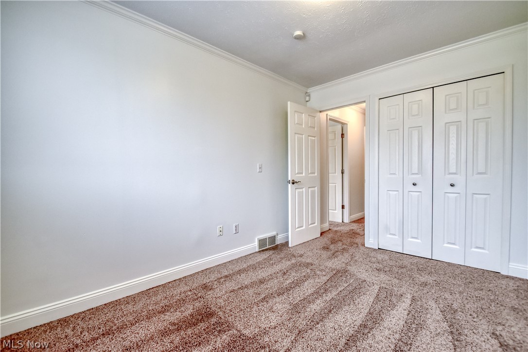 Big Turtle II - Residential