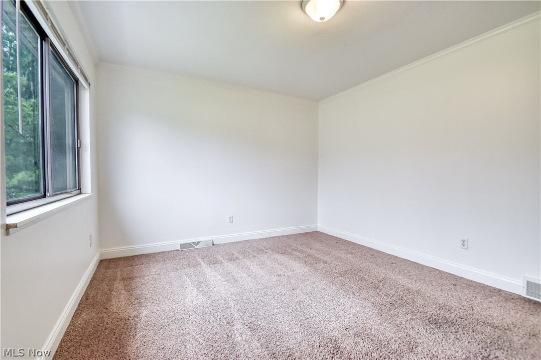 Big Turtle II - Residential