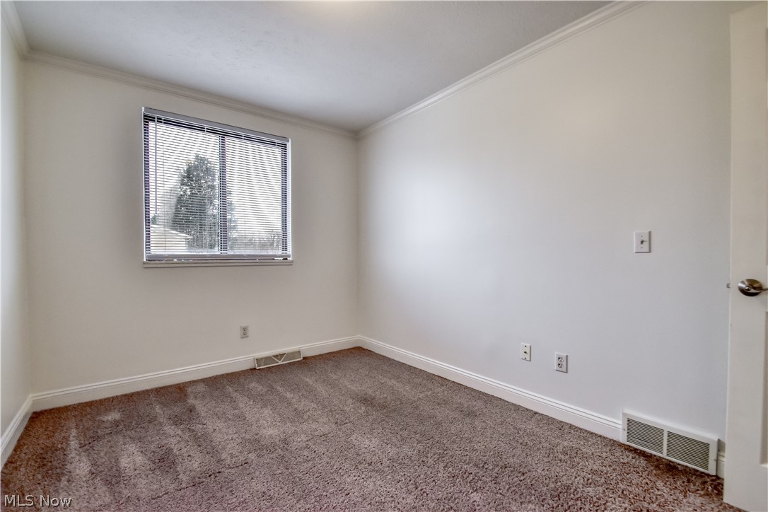 Big Turtle II - Residential