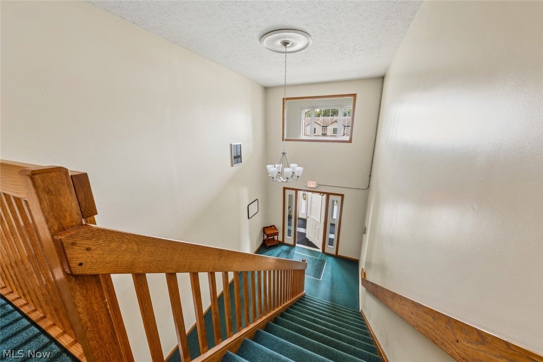 8528 Spencer Court