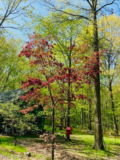 Henrietta - Residential