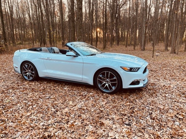 Henrietta - Residential