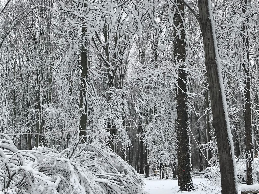 Henrietta - Residential