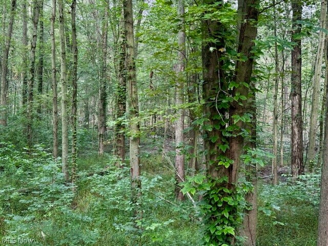 Henrietta - Residential