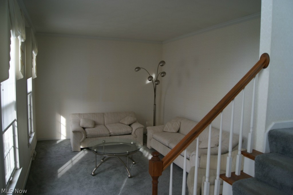 Reserve - Residential