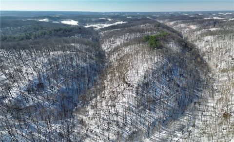 Vacant Land For Sale - Tract 5 Mann Road<br/> Monroe County, Graysville, OH 45734