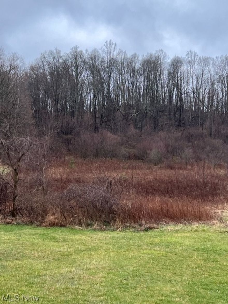 Potential for recreation; timbering, home building, has an approach area for access from County Rd. 8 R or Plum Run Rd. Ranch home and garage with red roof  where driveway crosses over point of acreage starting on Plum Run Rd.-acreage goes just over hilltop.