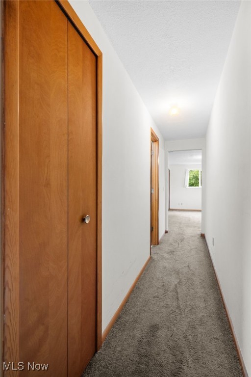 2459 Didrickson Drive, Lorain, Ohio image 17