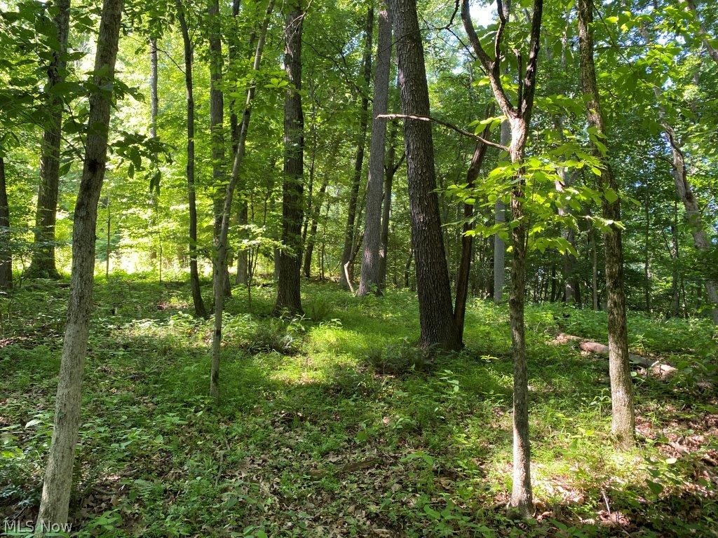 United States Military Lands - Land