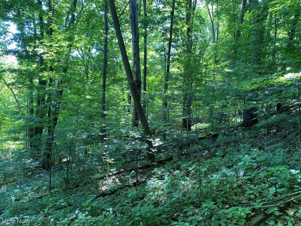 United States Military Lands - Land