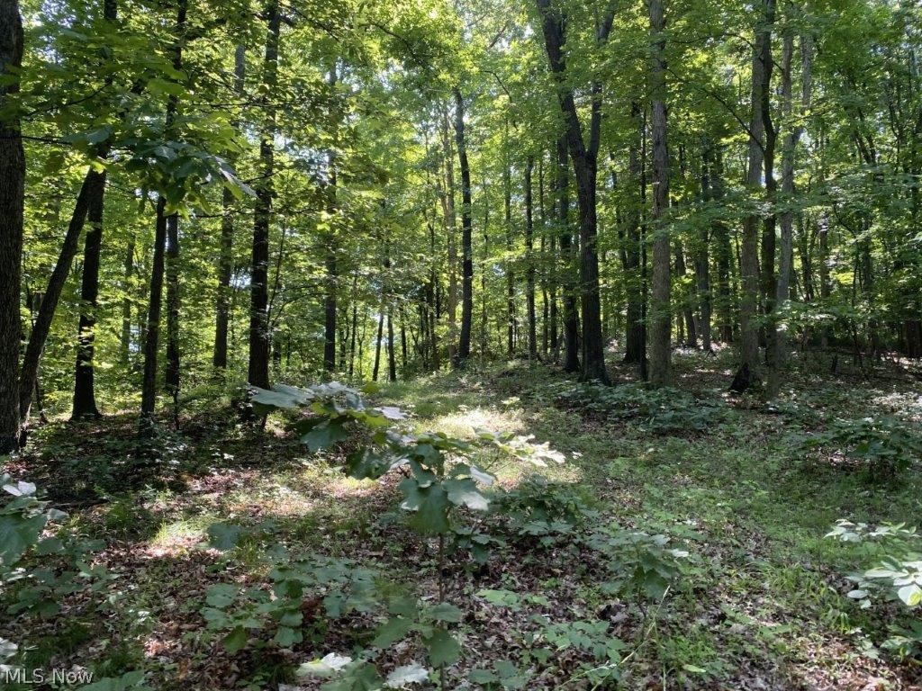 United States Military Lands - Land