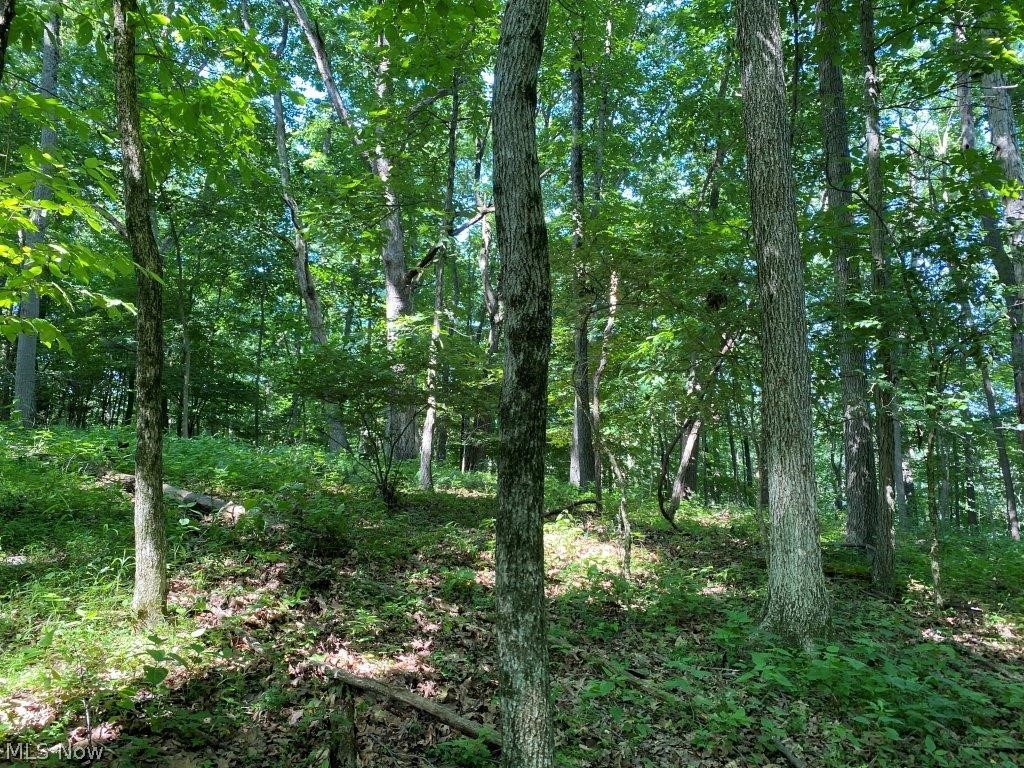 United States Military Lands - Land