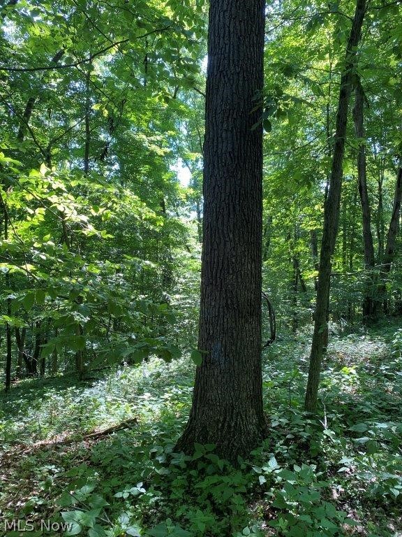 United States Military Lands - Land