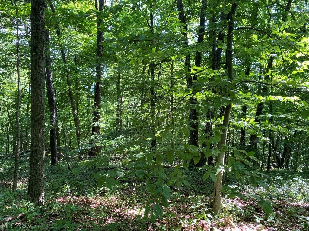 United States Military Lands - Land