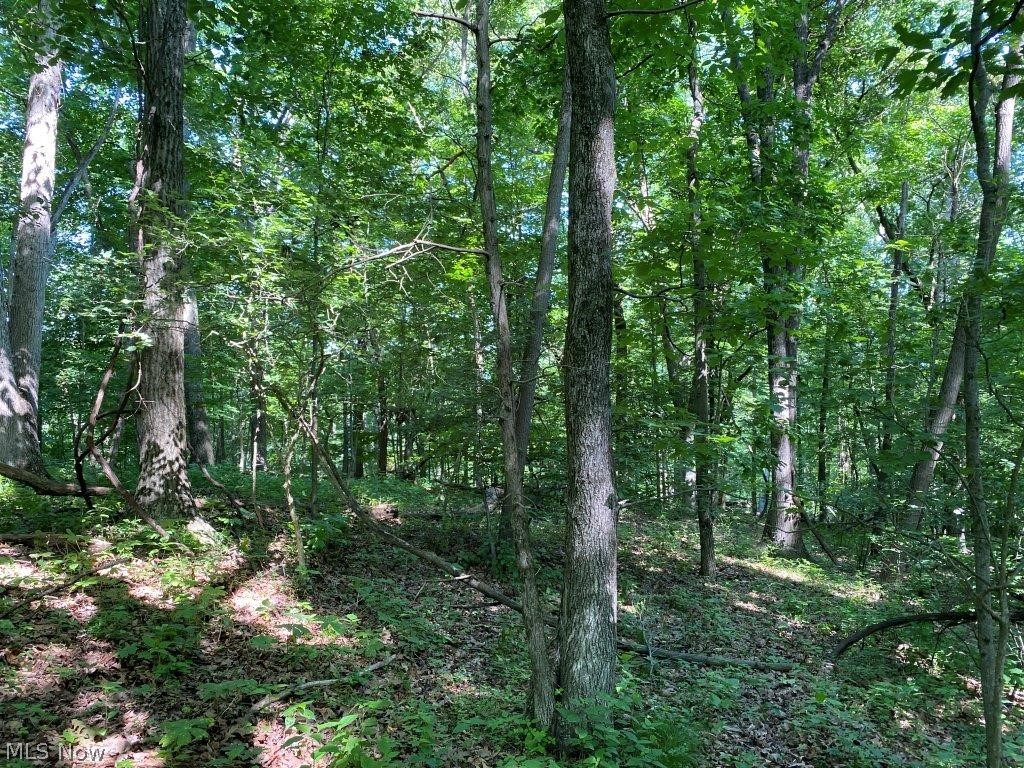 United States Military Lands - Land