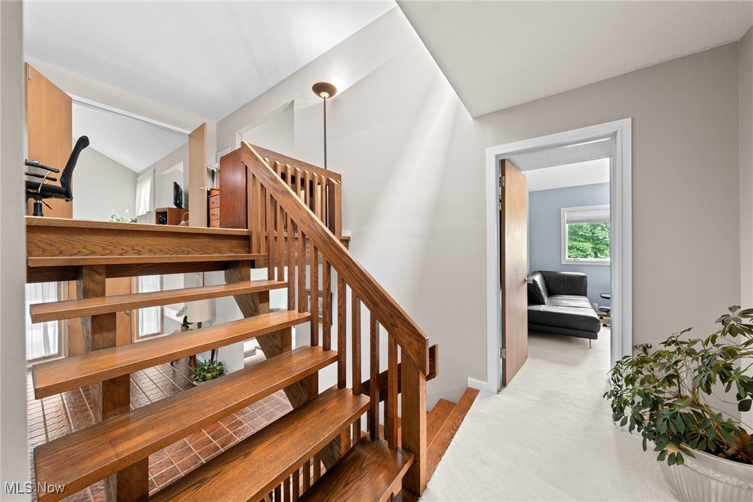 Beechwood Island - Residential