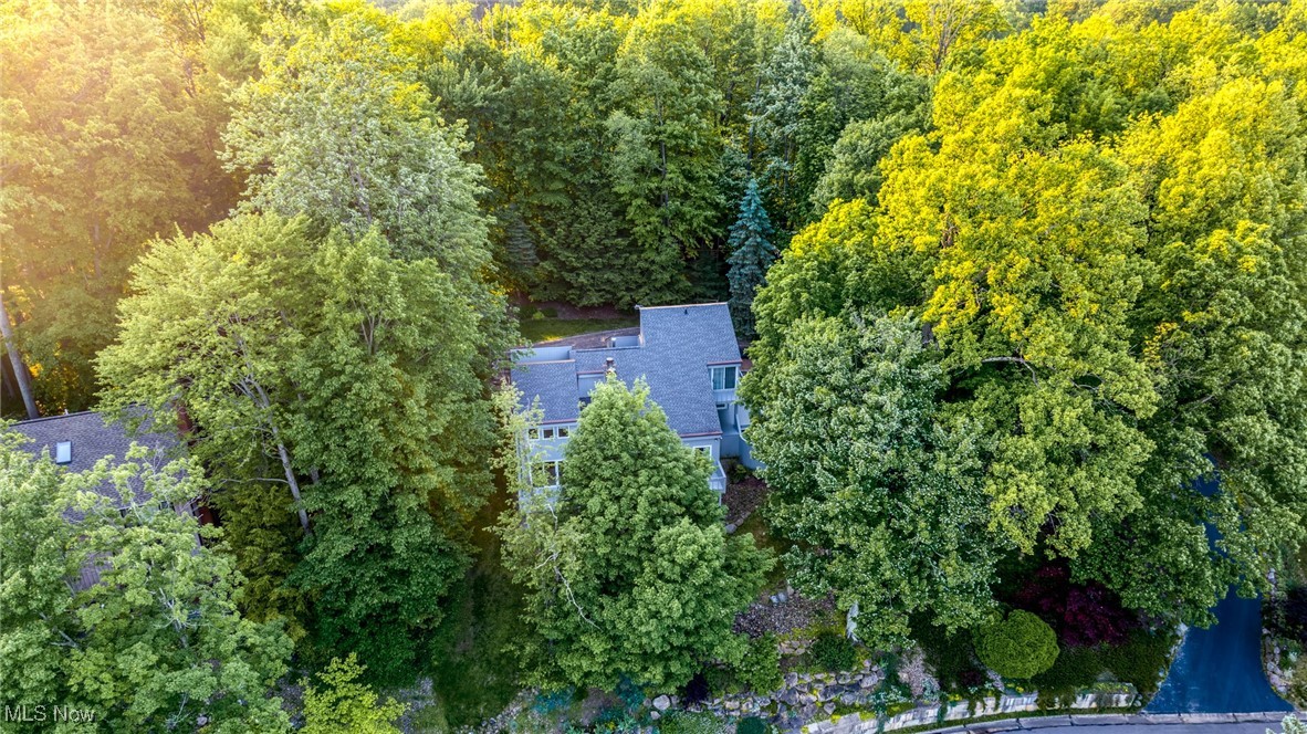 Beechwood Island - Residential
