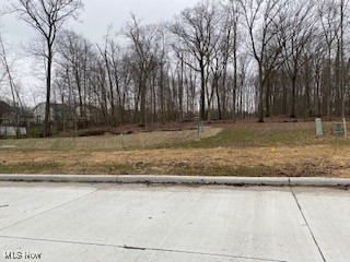 4138 Timber Trail, Medina, Ohio image 1