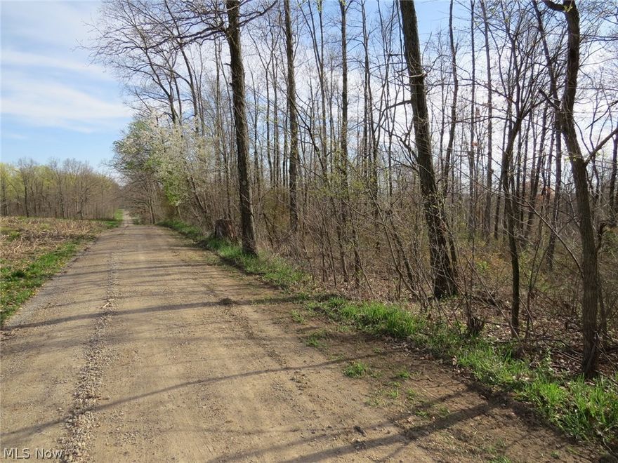 20 Acre Wooded Property with Minerals Producing Income! Northern Carroll County tract located on a dead end road. Property is enrolled in the Ohio Forestry Tax program which is reflected in the taxes shown. This would make a hunting or building tract and new owner could subdivide with plenty of road frontage. Good investment property!Call for more info!