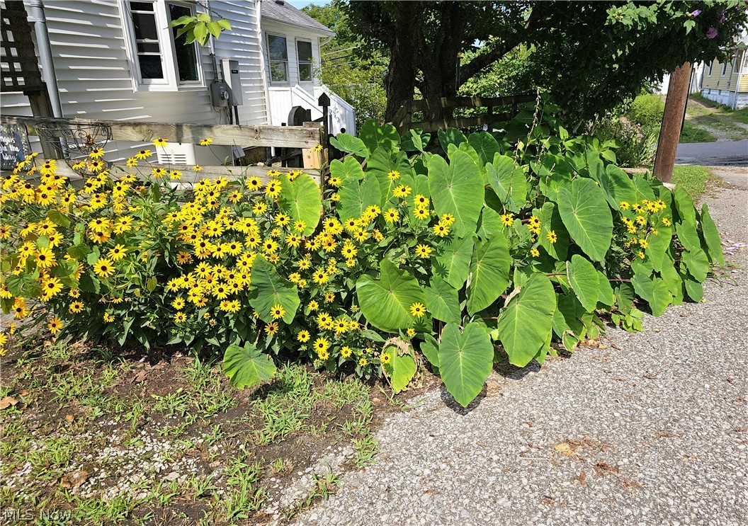 Carrie Morlan 01 & 02 - Residential