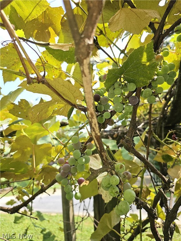 Carrie Morlan 01 & 02 - Residential