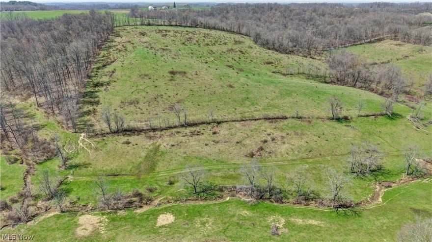 Auction Day is Saturday May 16th, 2026 at 11:00 AM. Parcel 6: 63.7 Acres – Mostly open with some woods & creek. Access via 60’ Private Road