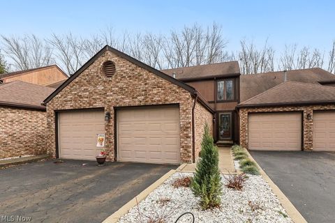 Condo For Sale - 5163 Park Drive<br/> Medina, OH 44256